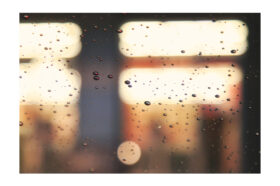 📷｜雨上がりの夜