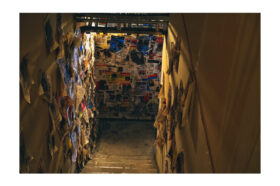 📷｜行方不明展