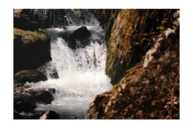 📷｜滝までの道のり